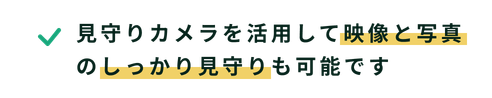 見守りカメラを活用して映像と写真のしっかり見守りも可能です
